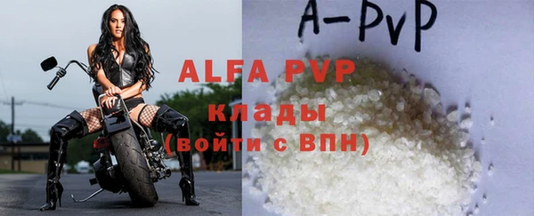 Альфа ПВП Новозыбков