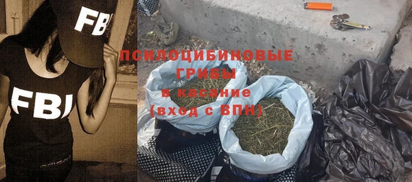 Альфа ПВП Новозыбков