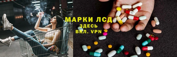 Альфа ПВП Новозыбков