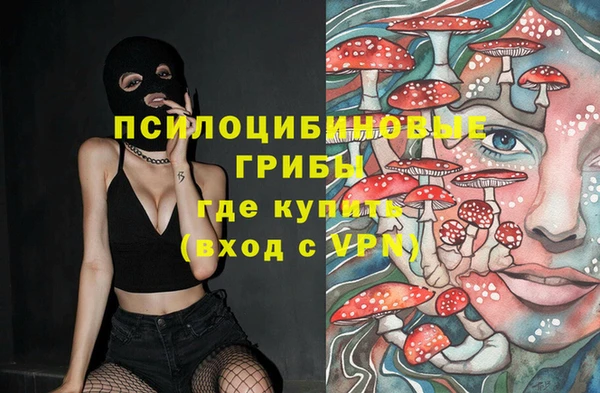 каннабис Новокубанск