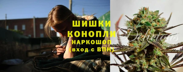 Альфа ПВП Няндома
