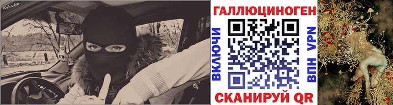 kraken tor  Боровичи  Псилоцибиновые грибы Psilocybe 