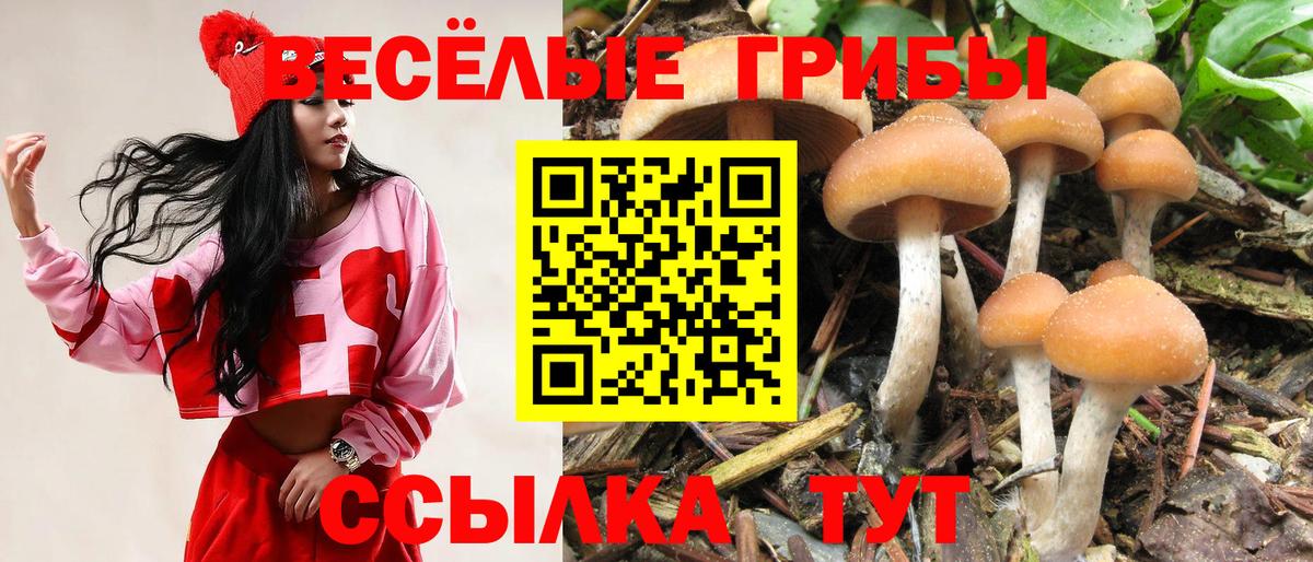 Боровичи  Галлюциногенные грибы прущие грибы  Псилоцибиновые грибы ЛСД  Вход с VPN 