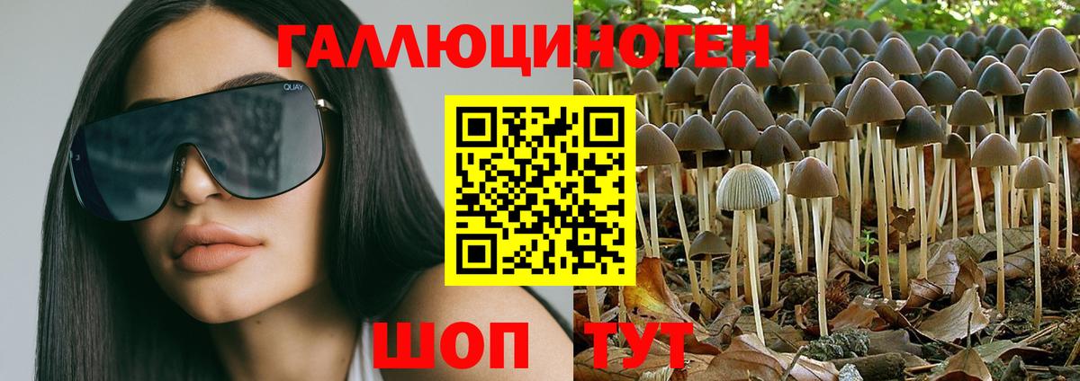 Псилоцибиновые грибы мухоморы Боровичи