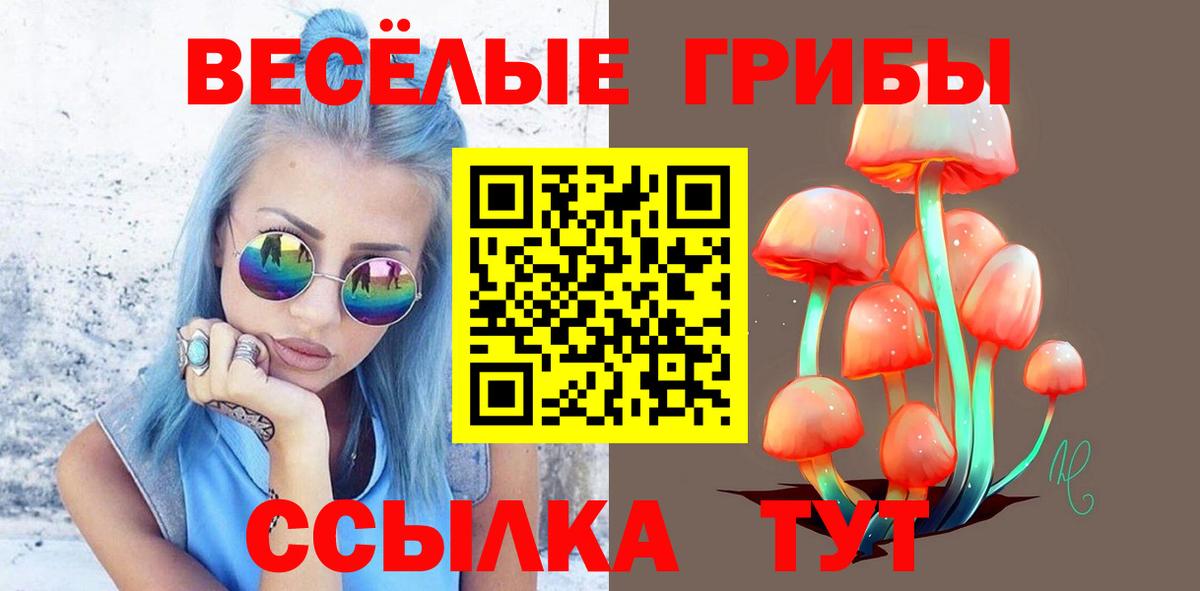 Псилоцибиновые грибы мицелий Боровичи